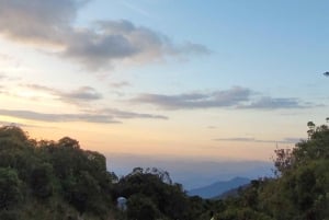 Rocky Mountain Trekking - 12 dages trekking med vild camping.