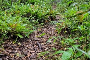 Rocky Mountain Trekking - 12 dages trekking med vild camping.