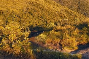 Rocky Mountain Trekking - 12 dages trekking med vild camping.