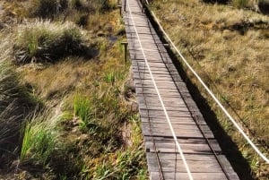 Rocky Mountain Trekking - 12 dages trekking med vild camping.