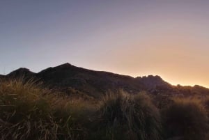 Rocky Mountain Trekking - 12 dages trekking med vild camping.