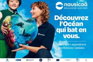 Det nationale havcenter Nausicaá: Entrébillet til hele dagen