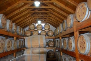 North Madeira & Wine Tour 4x4 Jipe Tour