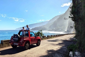 Tour privato di mezza giornata nel nord: S. Vicente, Seixal e P. Moniz