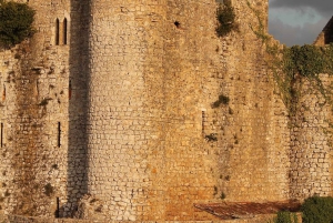 Tour guiado privado por Óbidos