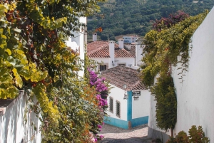 Tour guiado privado por Óbidos