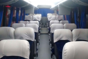 Envägs privat transfer från Sao Paulo till Ubatuba