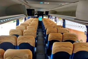 Transfert privé aller simple de l'aéroport de Viracopos à São Paulo