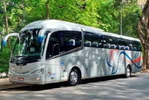 Transfert privé aller simple de l'aéroport de Viracopos à São Paulo