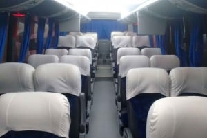 Transfert privé aller simple de l'aéroport de Viracopos à São Paulo