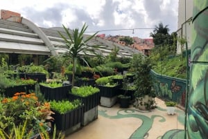 Paraisópolis : La vibrante favela de São Paulo et son artiste caché