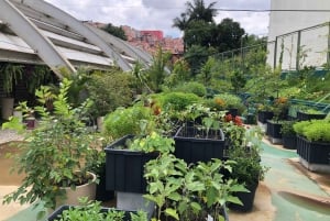 Paraisópolis : La vibrante favela de São Paulo et son artiste caché