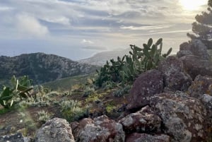Pico Castelo e Pico Facho Vereda: Caminhada com vista espetacular
