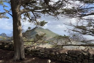 Pico Castelo e Pico Facho Vereda: Caminhada com vista espetacular