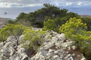 Pico Castelo e Pico Facho Vereda: Caminhada com vista espetacular