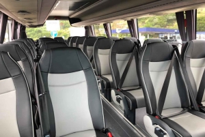 Luchthaven Ponta Delgada: Bus van/naar Vila Franca do Campo