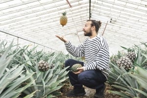 Ponta Delgada: Pineapple wine tasting and pineapple tour