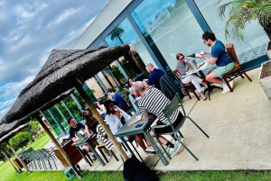 Ponta Delgada: Pineapple wine tasting and pineapple tour