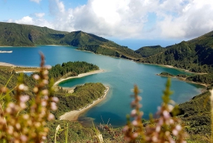 Ponta Delgada: Sete Cidades & Lagoa do Fogo Tour