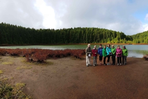 Ponta Delgada: Sete Cidades & Lagoa do Fogo Tour