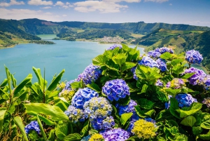 Ponta Delgada: Sete Cidades & Lagoa do Fogo Tour
