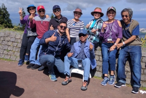 Ponta Delgada: Sete Cidades & Lagoa do Fogo Tour