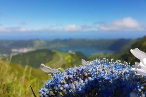 Ponta Delgada: Sete Cidades & Lagoa do Fogo Tour