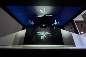 Ponta Do Sol: Guidet tur på Madeira Banana Museum