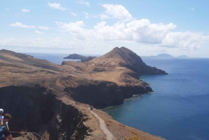 Ponta São Lourenço: passeggiata guidata privata PR8