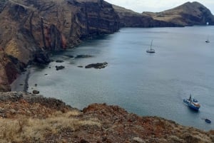Ponta São Lourenço: passeggiata guidata privata PR8