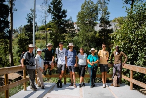 Ponte de Lima: treasures from the oldest village of PT