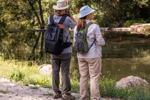Ponte de Lima: treasures from the oldest village of PT