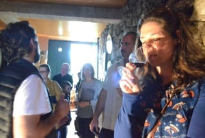 Porto : 3 visites des vignobles de la vallée du Douro avec déjeuner