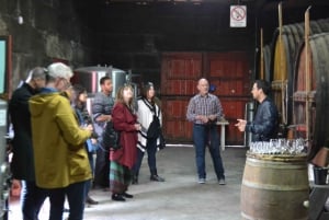 Porto : 3 visites des vignobles de la vallée du Douro avec déjeuner