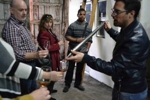 Porto : 3 visites des vignobles de la vallée du Douro avec déjeuner