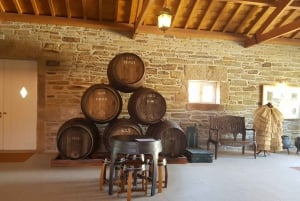 Porto : 3 visites des vignobles de la vallée du Douro avec déjeuner