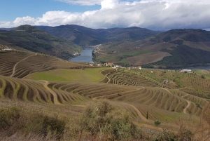 Porto : 3 visites des vignobles de la vallée du Douro avec déjeuner