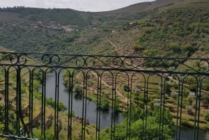 Porto : 3 visites des vignobles de la vallée du Douro avec déjeuner