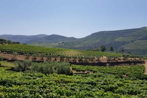 Porto : 3 visites des vignobles de la vallée du Douro avec déjeuner