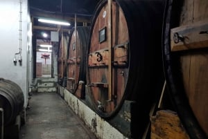 Porto : 3 visites des vignobles de la vallée du Douro avec déjeuner