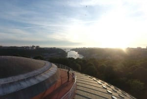 Porto 360 45 ' guided tour to Super Bock Arena