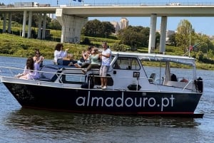 Porto: 6 siltaa -risteily portviinin maistajaisilla ja auringonlaskun katseluvaihtoehdolla