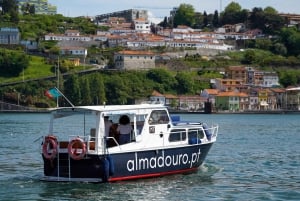 Porto: 6 siltaa -risteily portviinin maistajaisilla ja auringonlaskun katseluvaihtoehdolla