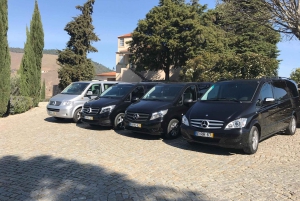 Luchthaven Porto: Transfer van/naar Porto Centrum