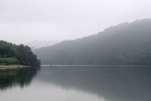 Porto: Authentic Portuguese Cuisine Boat Tour