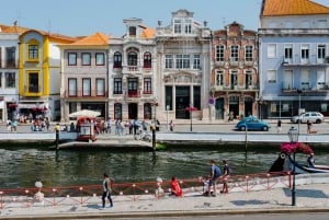 Porto:Aveiro, kryssning, Costa Nova & Capelha da Pedra heldag