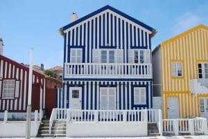 Porto:Aveiro, kryssning, Costa Nova & Capelha da Pedra heldag