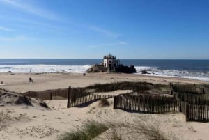 Porto:Aveiro, kryssning, Costa Nova & Capelha da Pedra heldag