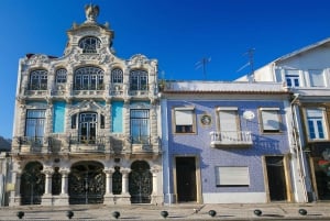 Porto:Aveiro, kryssning, Costa Nova & Capelha da Pedra heldag