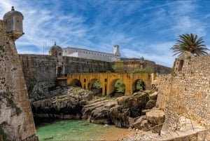 Porto: Berlengas-øerne, Óbidos-slottet og Peniche - dagsudflugt
